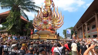 Cremation ceremony   Ubud