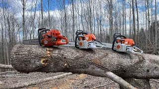 Comparing STIHL MS261, MS362 and Husqvarna 572Xp