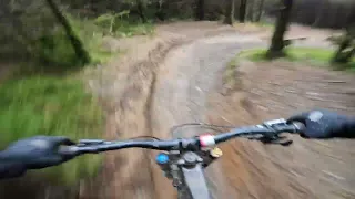 Dyfi Bike Park Race Track 02-May-24