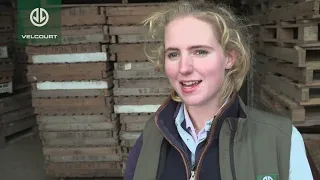 A first hand review from a Velcourt Trainee Dairy Farm Manager