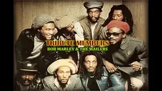 TRIBUTE MEMBERS-BOB MARLEY & THE WAILERS-1974-1981 (The   Real Ghetto All Star)