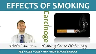 Effects of Smoking - GCSE Biology (9-1)