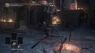 Dark Souls 3 - New and improved dragon forms