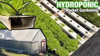 Startup Hydroponic Market Greenhouse | 🍅 & 🥬 | Bato Bucket & NFT Hydroponic Systems