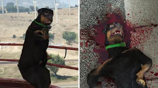 GTA 5 Franklin Kills Chop in the final mission