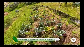 Implemente una huerta agroecológica: una buena opción para mejorar sus ingresos - La Finca de Hoy
