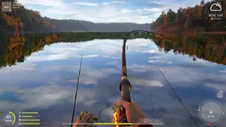 Russian Fishing 4  Trophy Pike 12.64 Kg Lower Tunguska River  ⭐60