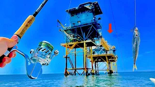 Fishing SOLO under a GAS RIG in the GULF of MEXICO When I Caught THIS....[Epic Results]