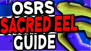 Ultimate Sacred Eel Fishing Guide Old School Runescape