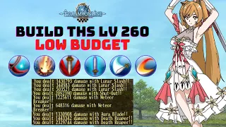 Two Handed Sword Build (2H/THS) Tier 5 Level 260 Low Budget High Dmg | Toram Online | Xen'Rani