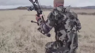 Охота на медведя с луком, это конечно жесть! Bear hunting with bow