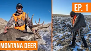 RUTTING BUCKS on Public Land | Montana Deer (EP. 1) 🦌