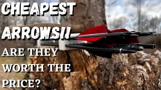 CHEAPEST ARROWS ON AMAZON! Brutally Honest Review. (UNDER 40$!)