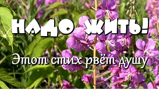 Доброе утро! Очень душевный стих "НАДО ЖИТЬ!"