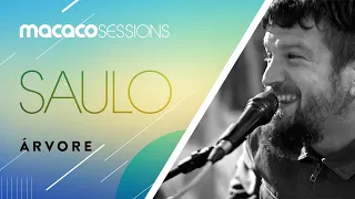 Saulo - Árvore | Macaco Sessions (Ao Vivo)