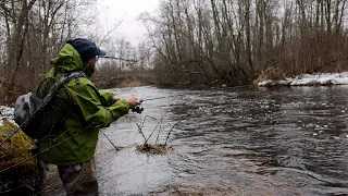 Рыболовный вложик. Ловля форели весной.Рыбалка в Ленинградской области.