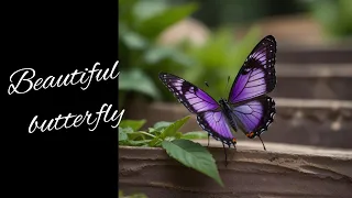 beautiful butterfly wallpaper 🦋| Mobile wallpaper 💫