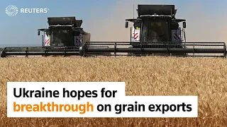 Ukraine hopes for grain exports breakthrough
