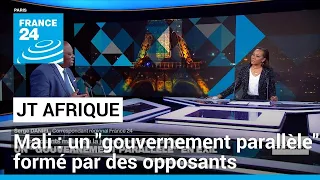 Mali : un "gouvernement parallèle" formé par des opposants politiques en exil • FRANCE 24