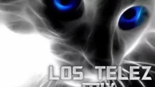 LOS TELEZ MIX *GRANDES ÈXITOS*