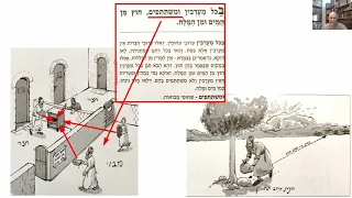 דף יומי מסכת קידושין דף לד Daf yomi Kiddushin page 34  ע"י יוני גוטמן