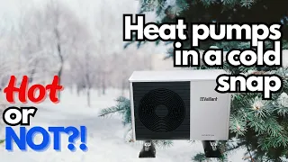 How did our heat pump cope in a cold snap? Heat pump stats January 24