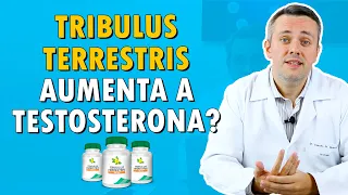 Tudo Sobre Tribulus Terrestris | Dr. Claudio Guimarães