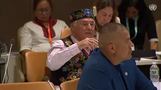 Identity fraud and Indigenous self-determination – UNPFII | APTN News