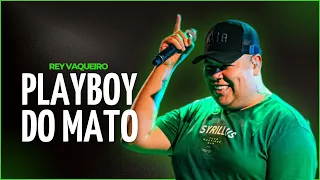 PLAYBOY DO MATO - REY VAQUEIRO | MÚSICA NOVA (SET2023)