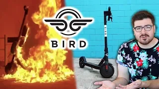 The War on Bird Scooters