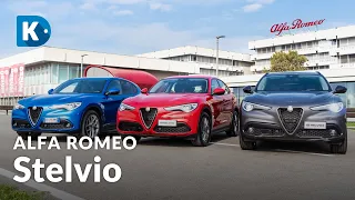 ALFA ROMEO STELVIO | Allestimento Business, Executive e B-Tech: differenze e quale scegliere?