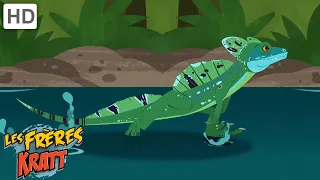 Ce lézard peut marcher sur l'eau! [épisodes complets] Les Frères Kratt