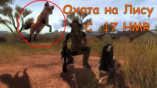 17 HMR - Тихий отстрел Лис в theHunter Classic