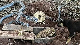 TOP 5 Videos Brave Treasure Hunters Fight God Snakes To Get Treasure