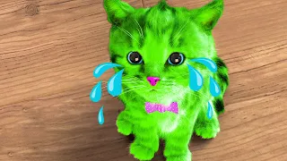 SPECIAL LITTLE KITTEN ADVENTURE AND FUNNY CAT VIDEOS - SPECIAL CARTOON CAT AND ANIMATED KITTEN