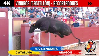 VINARÒS // Toro salta en el CONCURSO POR COMUNIDADES 🟡🔵🔴 Cataluña ▪ Aragón ▪ Comunidad Valenciana