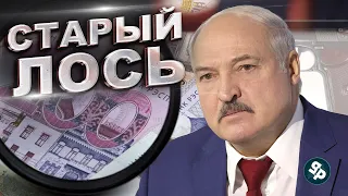 Лукашенко в шоке Белорусы перекрыли дорогу на границе