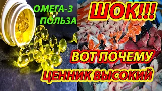 От Каких БОЛЕЗНЕЙ Защищает РЫБИЙ Жир ОМЕГА 3 зимой Как принимать ДОЗИРОВКА Польза на сосуды/fish oil