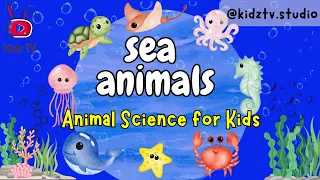 Amazing World of Sea Animals: Fun and Engaging Video for Kids | Aquatic Animals | Science for kids