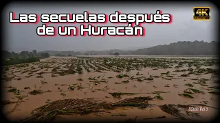 Así Pasamos el Huracán Fiona en el Área Oeste de Puerto Rico - 14, Septiembre, 2022