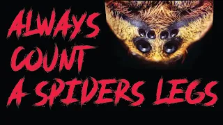 Always Count the Legs of a Spider | Creepypasta | Nightmare fuel | Classic