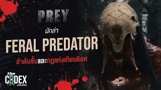 Feral Predator นักล่าจากต่างดาว - Prey | The Codex
