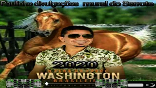 Washington Brasileiro Vaqueiro topado 2020