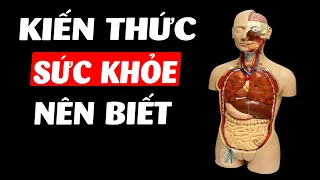 Toàn bộ kiến thức hay nhất về Sức khỏe trên KTTV