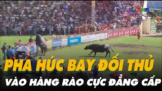 Pha Húc Bay Đối Thủ Vào Hàng Rào Cực Đẳng Cấp Của Ông Trâu 11