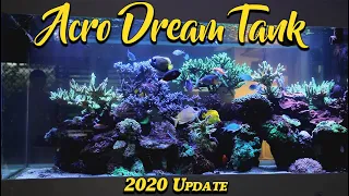 Acro Dream Tank 2020 Update --- Gallery Aquatica TV