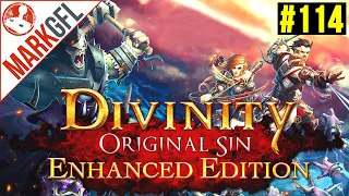 Let's Play Divinity: Original Sin (Enhanced Edition) - Part 114