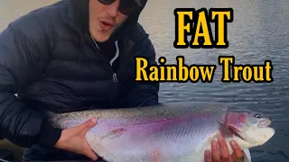 I caught the biggest rainbow trout ever!