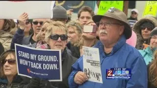 3/24 March For Our Lives Reno