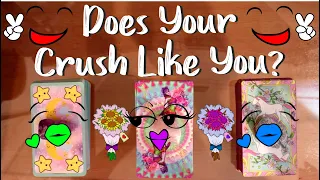 🌱🦄 DOES YOUR CRUSH LIKE YOU? 💜 Pick a Card Reading